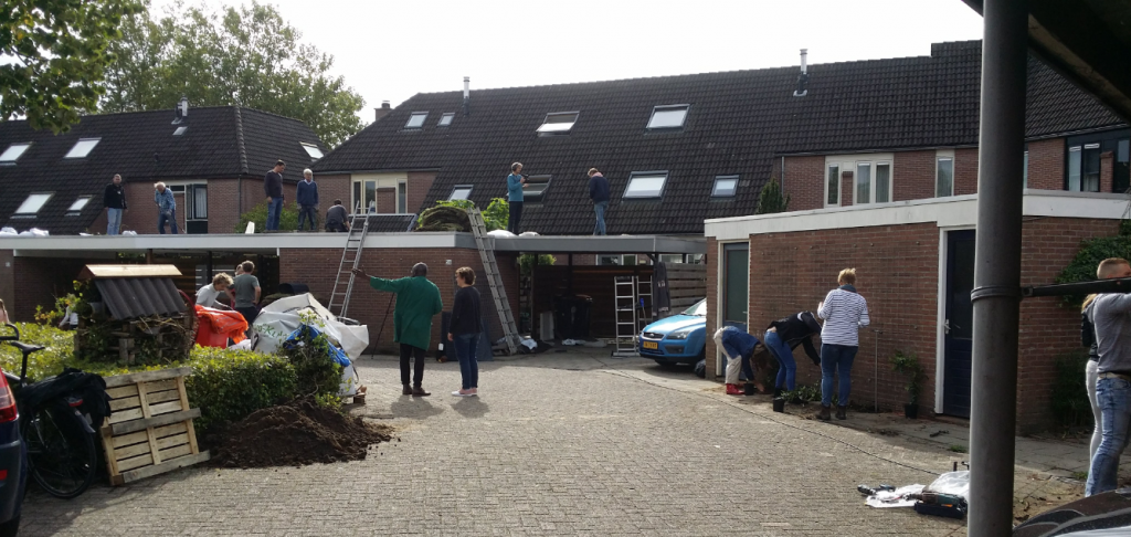 Aanleg groene daken te Deventer